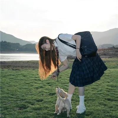 驯荒记